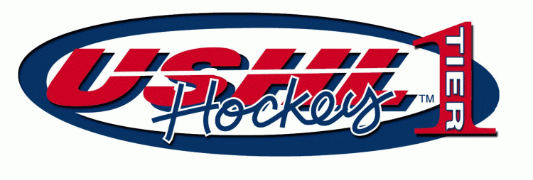 united states hockey league 2002-2004 alternate logo iron on transfers for clothing